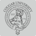Cougar University Tee (How To Date The Men Of Tomorrow)